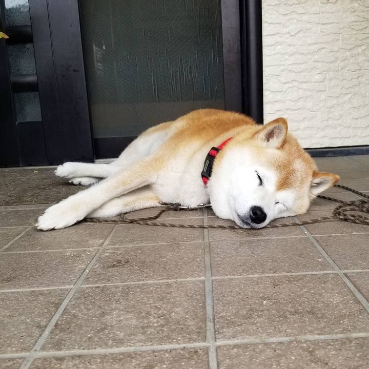 F03ddb2f 2a39 4a54 90bb 62bf75940ceb 1716165192684