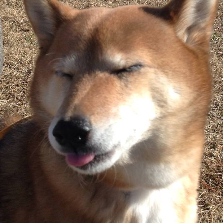 F03de0e6 e294 4e39 86ae d0189b53151e 1517826305314