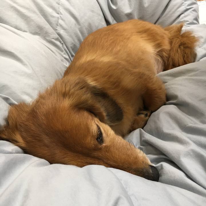 F03dfc24 2528 4a96 abcb 0af8781d7063 1581246490469