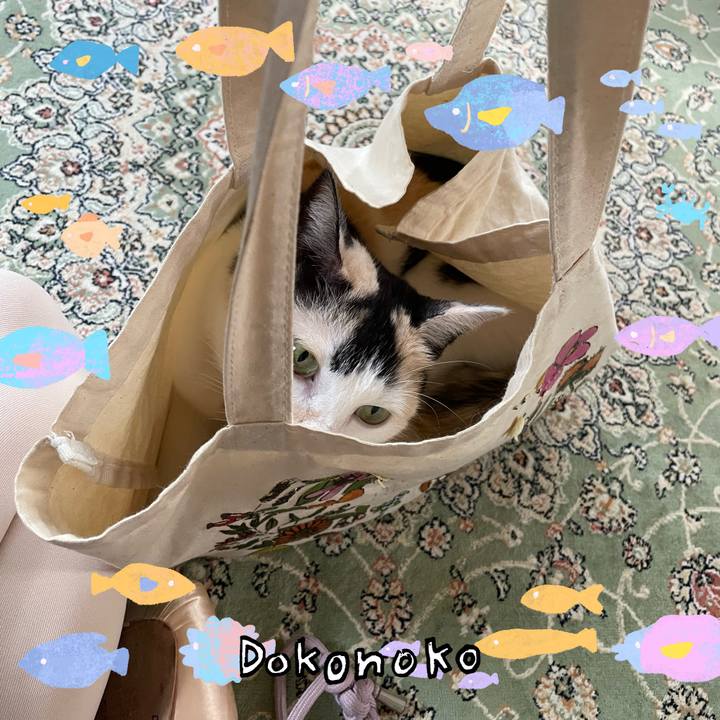 F03e2aa3 0c55 4f7d 9baa 5dc7d5bf5298 1755240636673