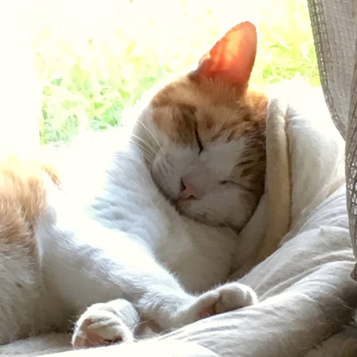 F03e3141 84c5 4c84 b071 36d245bef80f 1568179549406