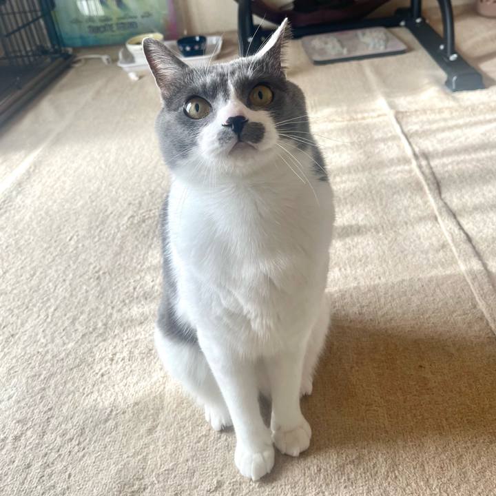 F03e6bba 6d37 4eac b165 64bbdcea02db 1674352786440