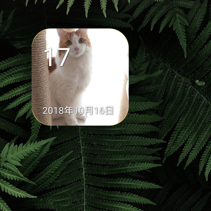 F03e762f 0e3b 4512 9477 88b602534afb 1634473158830