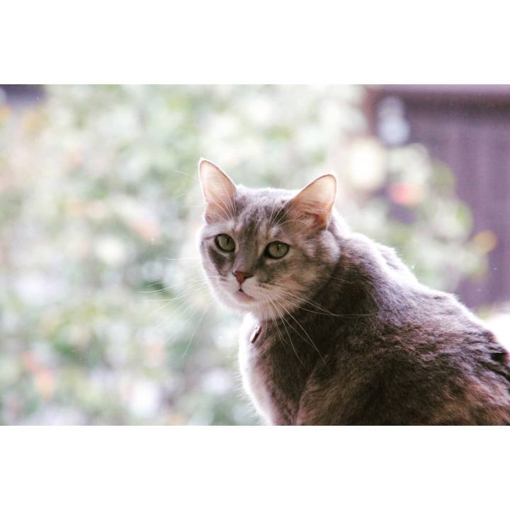 F03ec8dc eb6d 43d3 ac2d 8ba69b879c6b 1636369028040