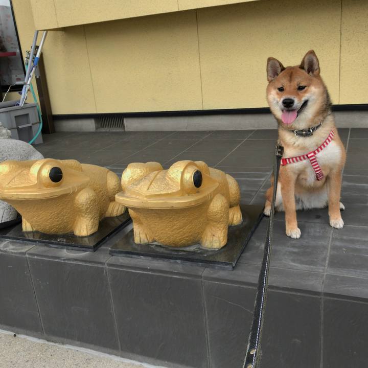 F03ed2e9 e97b 4433 9e92 d7db41305bf7 1527406866656