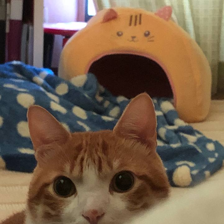 F03ef35b 0485 4ded 82e1 73baa1f43219 1539905136116