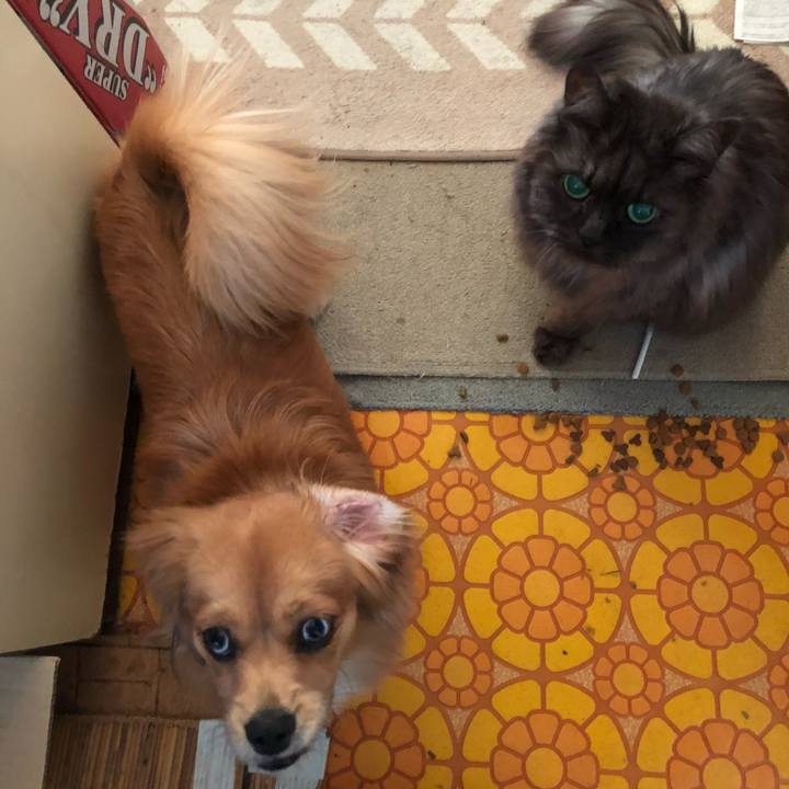 F03f0855 191b 4627 af4a b63bea4931f7 1510441686959