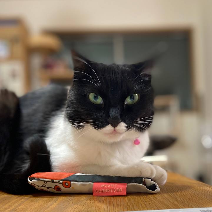 F03f28eb 0f69 489d bff0 27c662e4b682 1596293539618