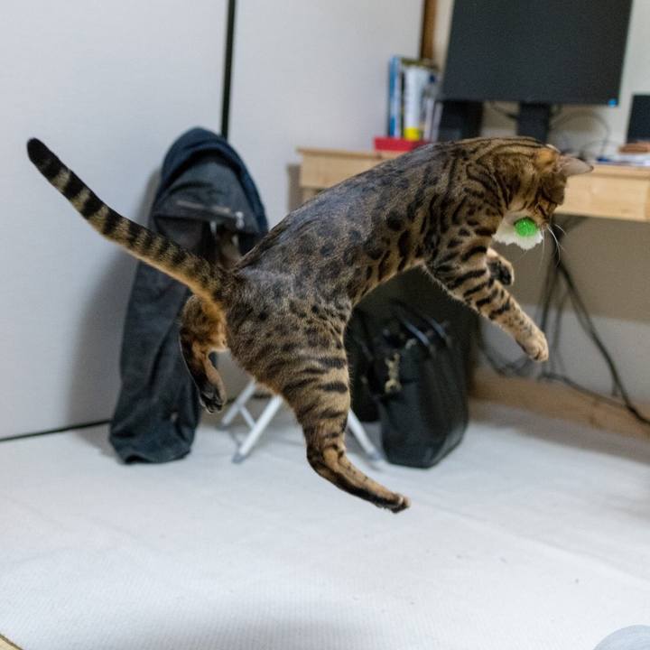 F03f49df df6c 4a60 b2c7 262587e77a80 1521207289253