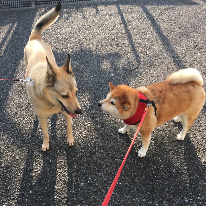 F03f58b7 61af 4e83 b768 6eeea346440b 1596497423496