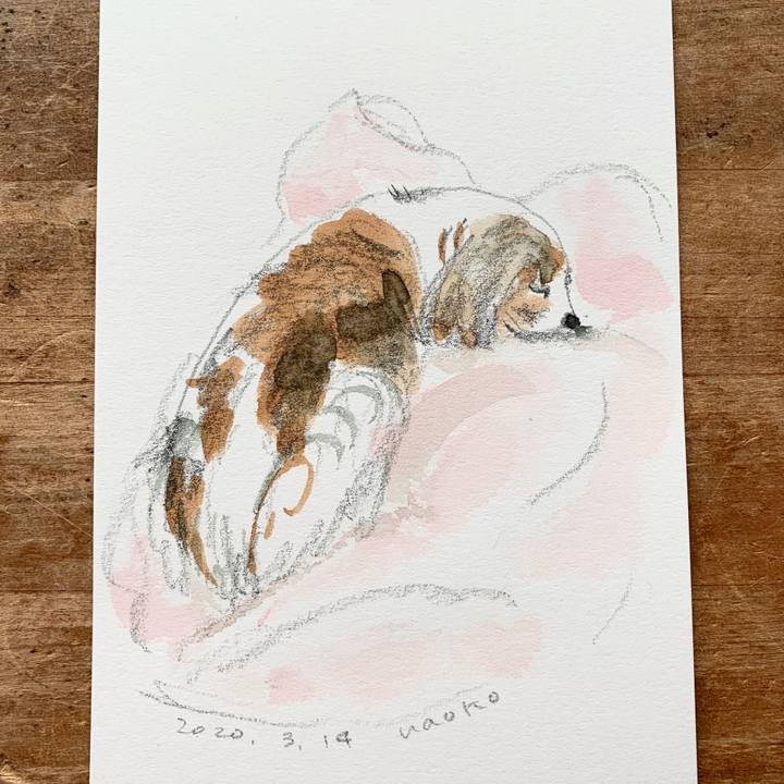 F03f9bb6 c668 46a2 b860 92e1246ff97b 1584153940700