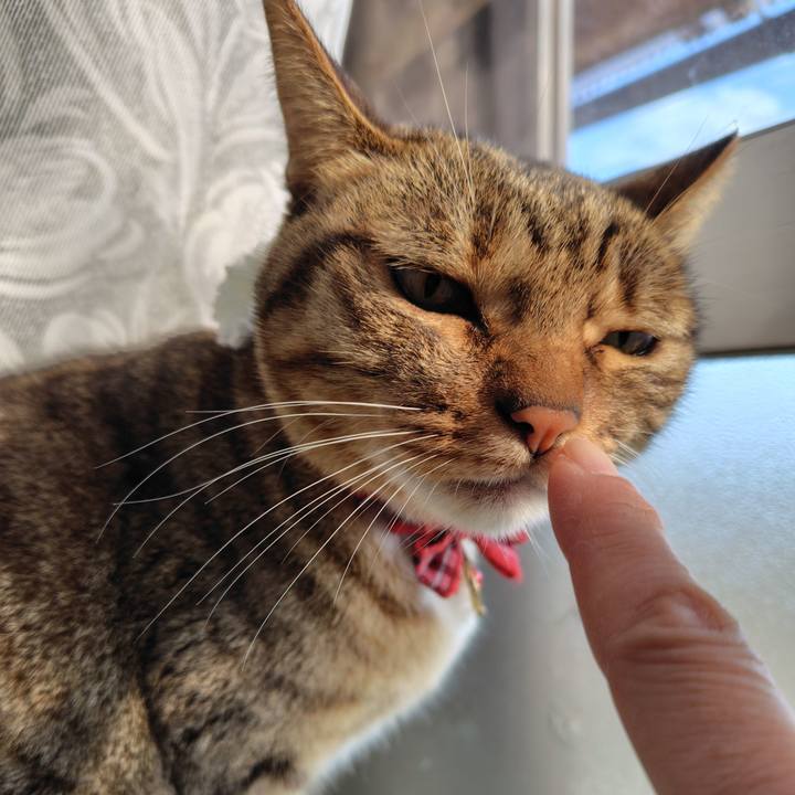 F03f9c52 c05a 4611 9b5e f38a75617c66 1764896953435