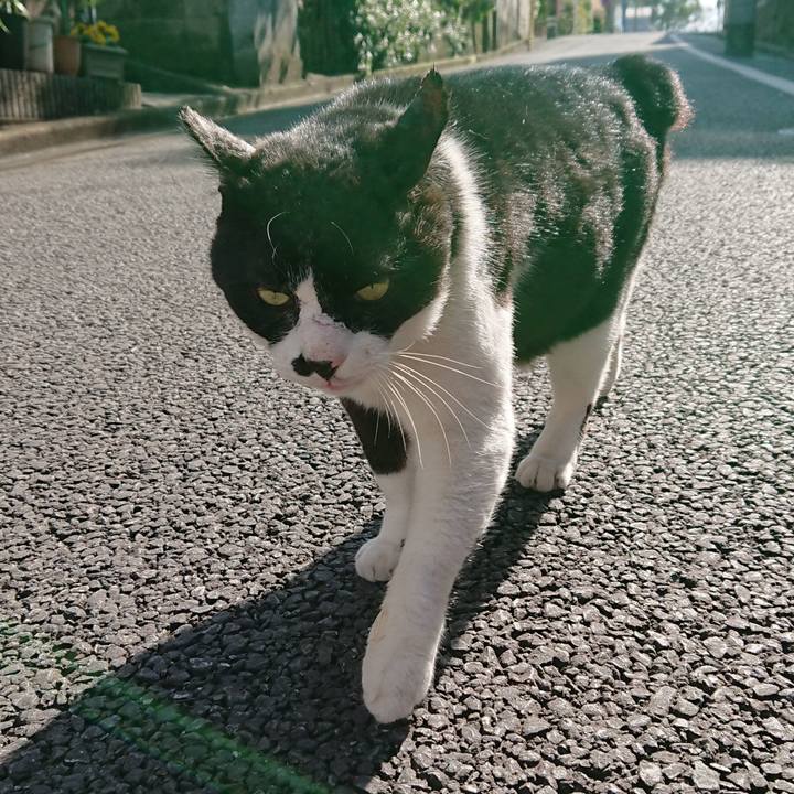 F03fa0c8 8236 4845 a9b0 6db9b844e744 1582523402428