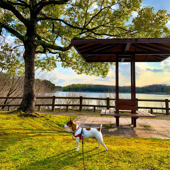 F03fc58b 1023 4f51 b357 4d473700221c 1584189601341