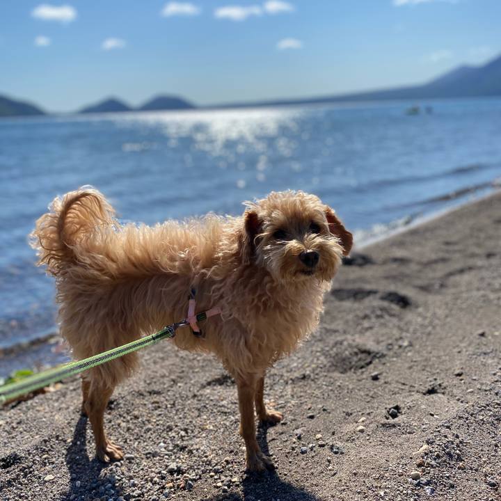 F03fece4 941d 4126 9336 4f97e8492227 1632528417200