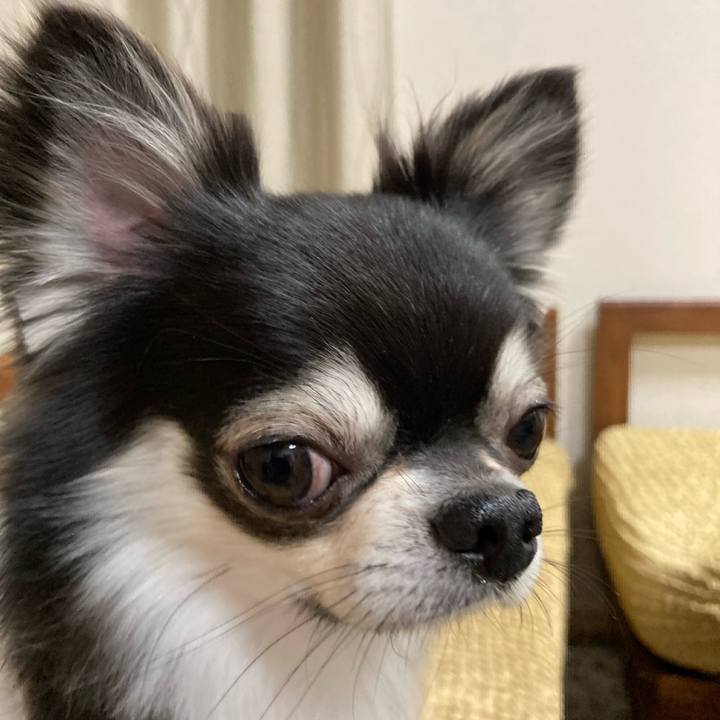 F03ffd3a 81a2 42b8 a400 507880d8baf2 1652624060565