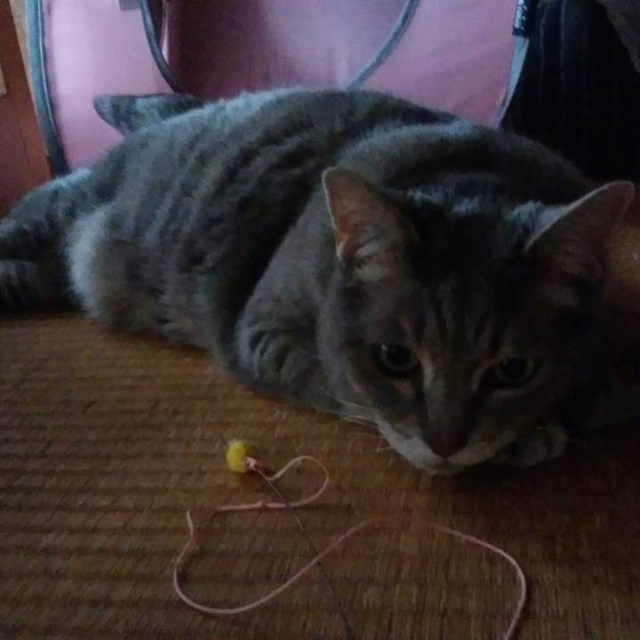 F040042d 9c95 49d1 ad32 fc61158d31de 1528489175737