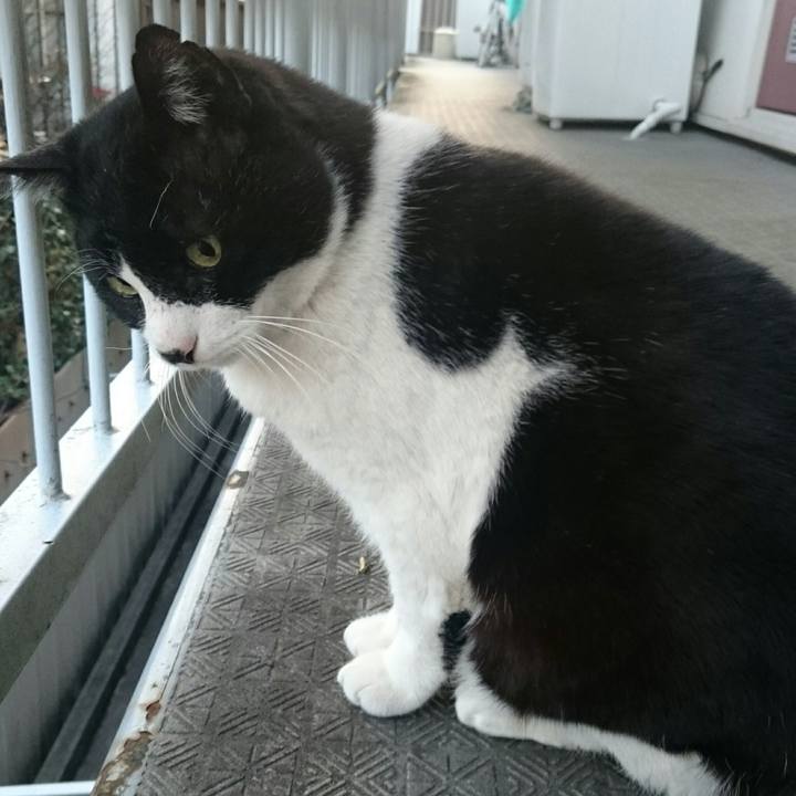 F0408d2e 6a63 429e b4f4 1007b99b9d5f 1516073543110