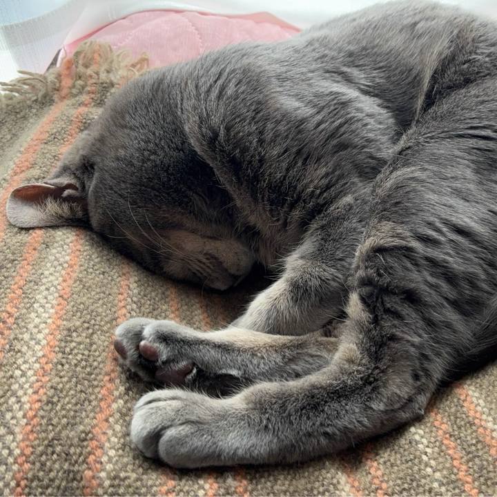 F040e8e2 9588 46d6 ada1 3b8c62c77f95 1773271942089