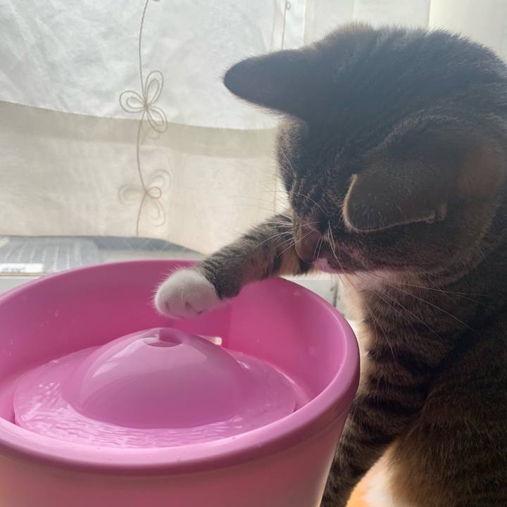 F0411fcc df09 459e a1cc e96107708a3e 1568684096550