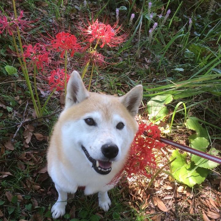 F0412481 dd2c 45ce 9c0c 636ef0858aa2 1540694316457