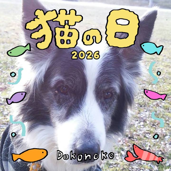 F0412c0b 129d 4c3f 9fef d1d8c90ba2c5 1771727110782