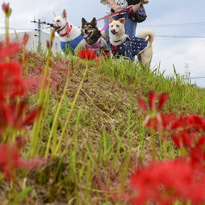 F04148cb c2bb 4894 b6bf abf3c04b1681 1537719247843