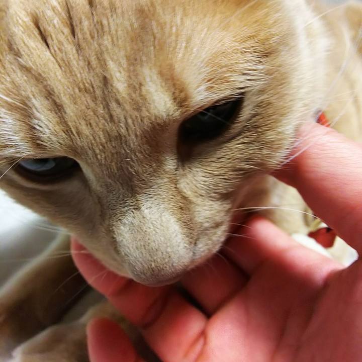 F041b6c0 e0e6 46a5 8b70 4236eb9ccb44 1581249267482