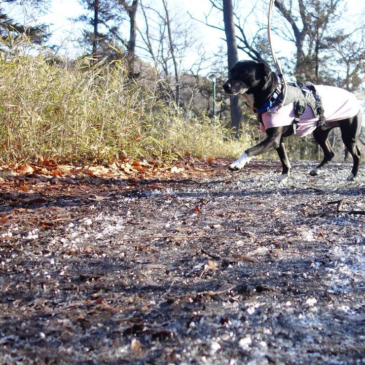 F041c844 7ce0 4055 9594 080f4cb1055b 1644972757699