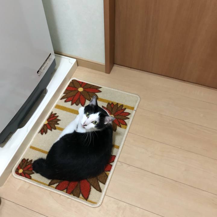 F041c97a de3e 4d36 8d40 96f5fc50ddb2 1568128425591