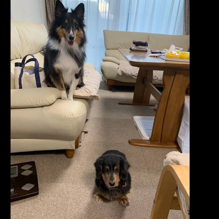 F041c9a9 ad29 490b 8388 81b3376800b7 1577311850534