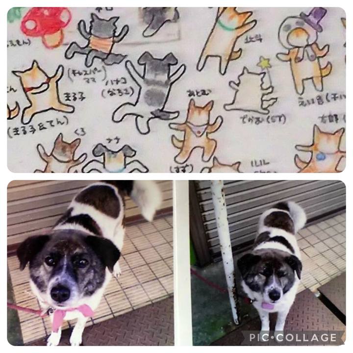 F041dba9 5265 40dc 89c6 59e0ae4ae31d 1703942249978