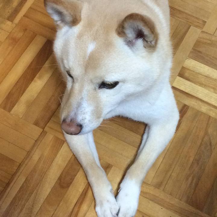 F04224fa 3848 4458 9223 99fb620a8fc1 1551265455266