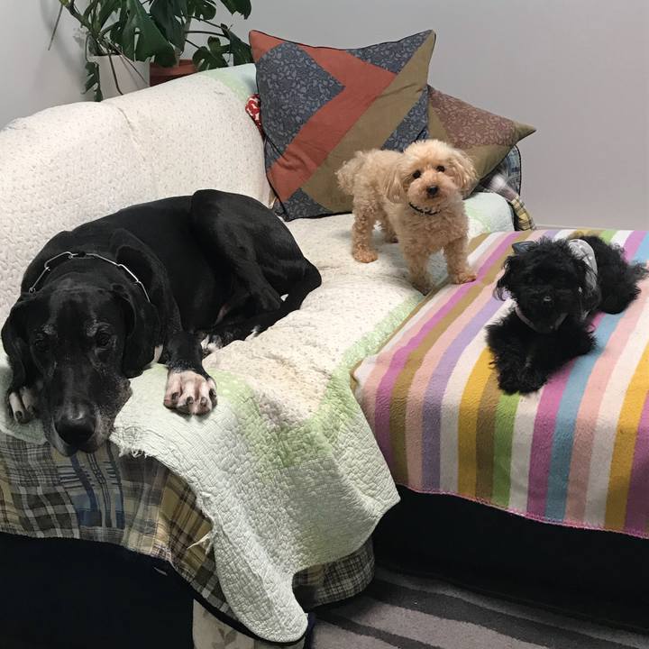 F0424085 7966 4cab 8c9e 0a5347a57afb 1528756884803