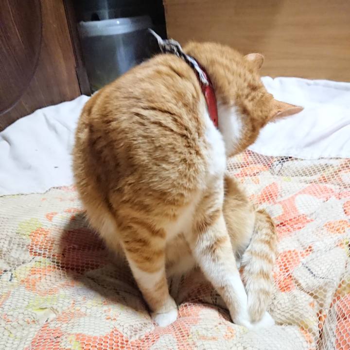 F04242bd bbc3 4fee abb3 ae72ac46fa31 1573647933492