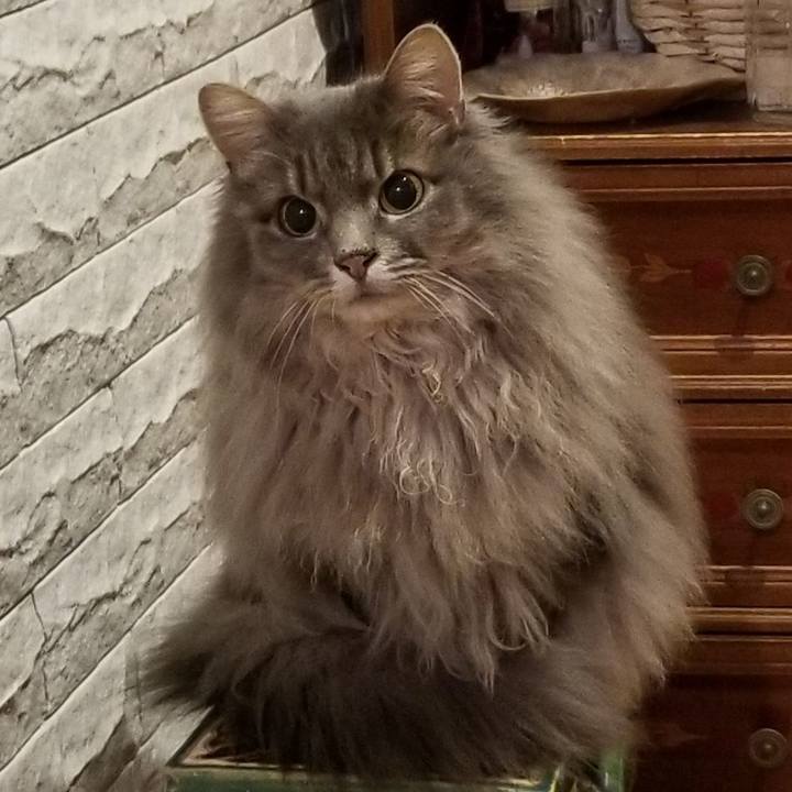 F0425def 9af0 4c5a 84a8 90005dff8a82 1581861349681