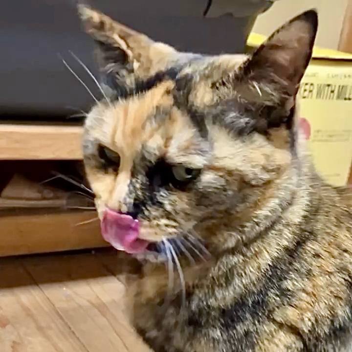 F042733a 2d51 4dc7 861f 8966fdb3e4f9 1737978526355