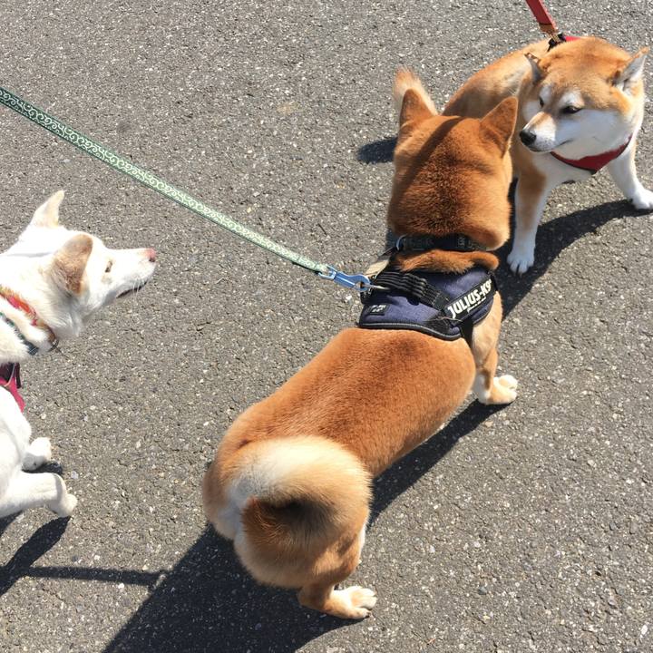 F042a5e5 3bb5 4d41 891a 12d9be8ed2b5 1616549471214