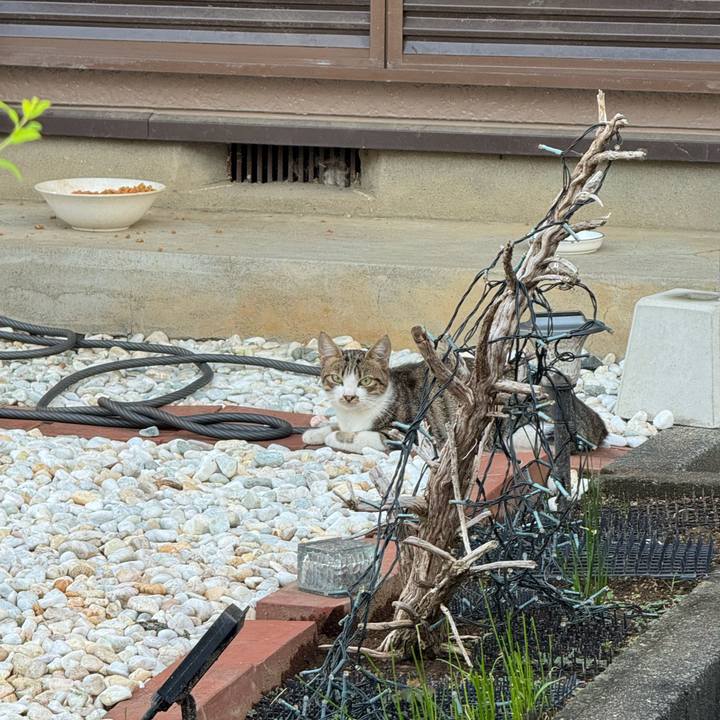 F042b595 9307 45f6 8dc4 972e59d4e3c0 1755569984711