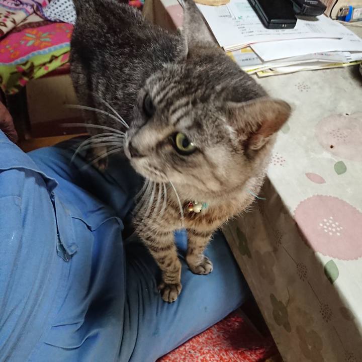 F042d9d1 47d1 4d91 9625 e00ac3ad56f6 1571453150710