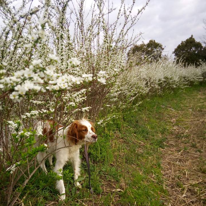 F042e880 67b2 4248 9e8b edba5058e8eb 1521770071899