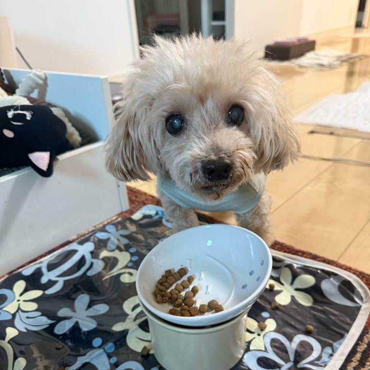 F042f8a6 4647 428e 8d69 040203b05dd7 1753305465936