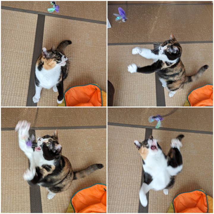 F042f99c f433 45a7 b4a1 16bd686a82fb 1715074196962