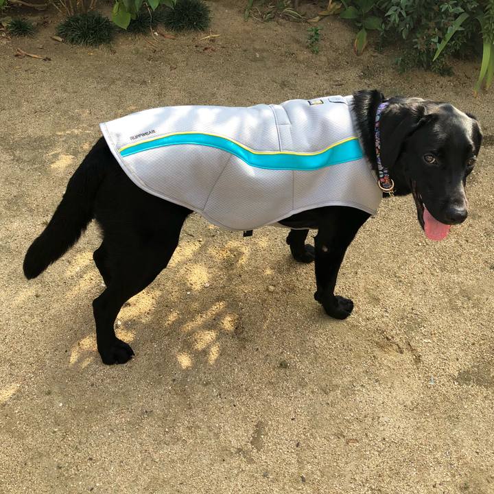 F04306ae 58ea 4de4 a9dd d6c61dd4c207 1565248056861