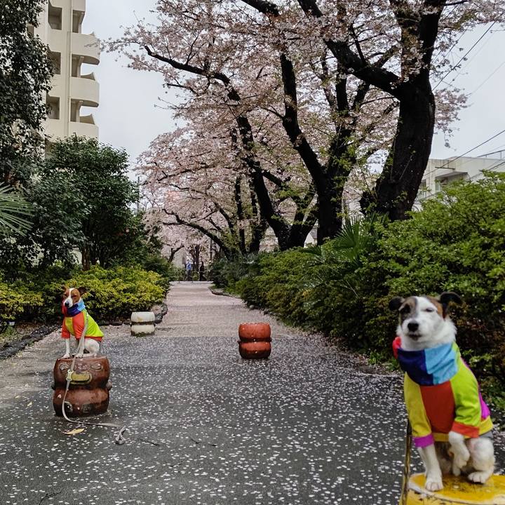 F0437652 c581 46c2 ad7a 12a6da1cc16c 1648764996422