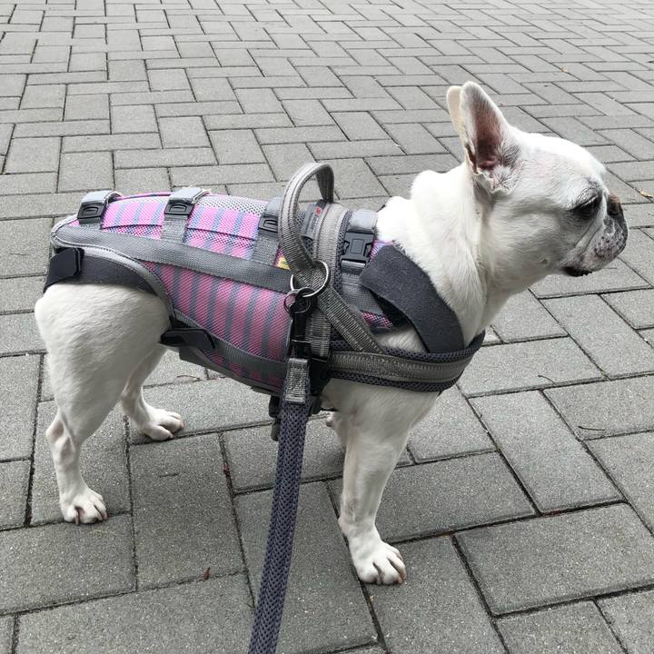 F0437ee0 feb2 44f3 bc99 9ea958768478 1650172207205