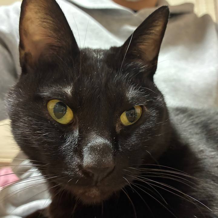 F04384a7 1bd0 4c70 a342 1d8fc6fa1581 1767951897818