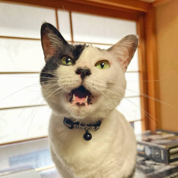 F0439518 79a0 4428 be5e b6b2c22c408d 1755125745856