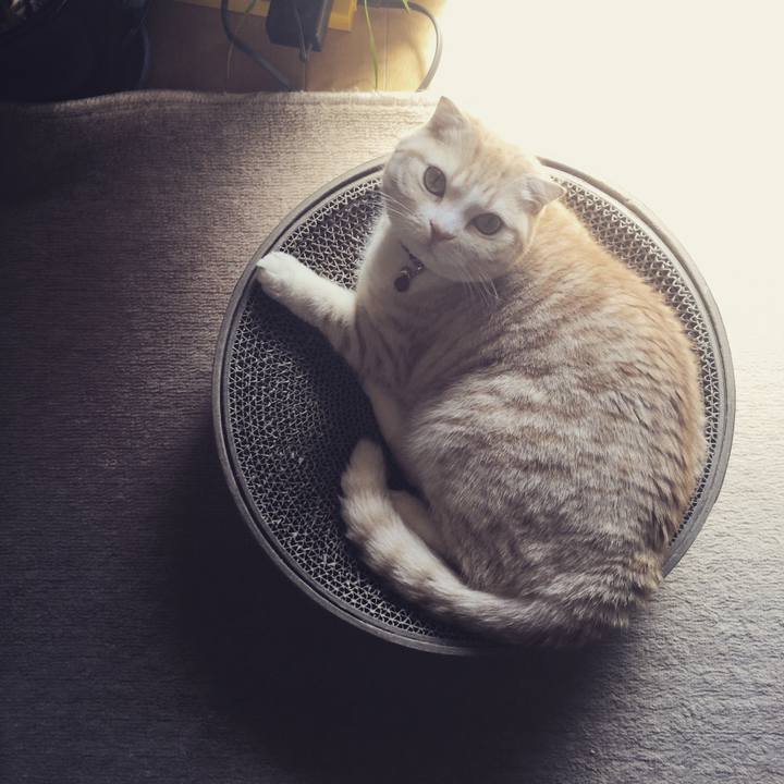 F043a397 bd19 47a9 94eb 8435b3cd6a14 1520136605970