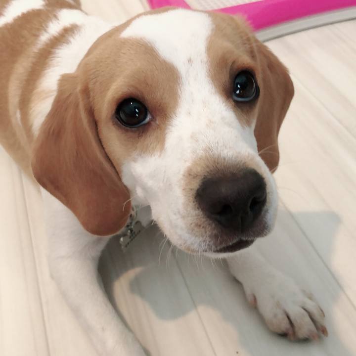 F043a675 d3a1 4baf b782 95da92d0eee2 1531961897948